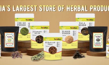 VedoMax helps us to know the importance of medicinal herbs 