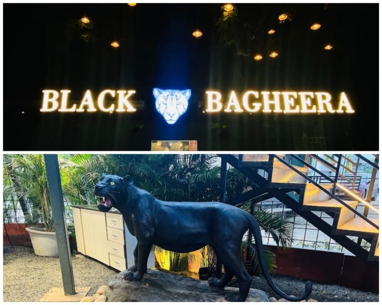Black Bagheera - for 1st birthday parties to 50th birthday parties