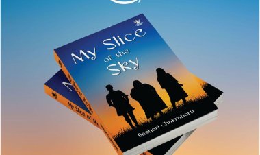 The Story of the Three A's: Fortitude, Companionship, and Life's Unpredictable Turns By Author Bashari Chakraborti